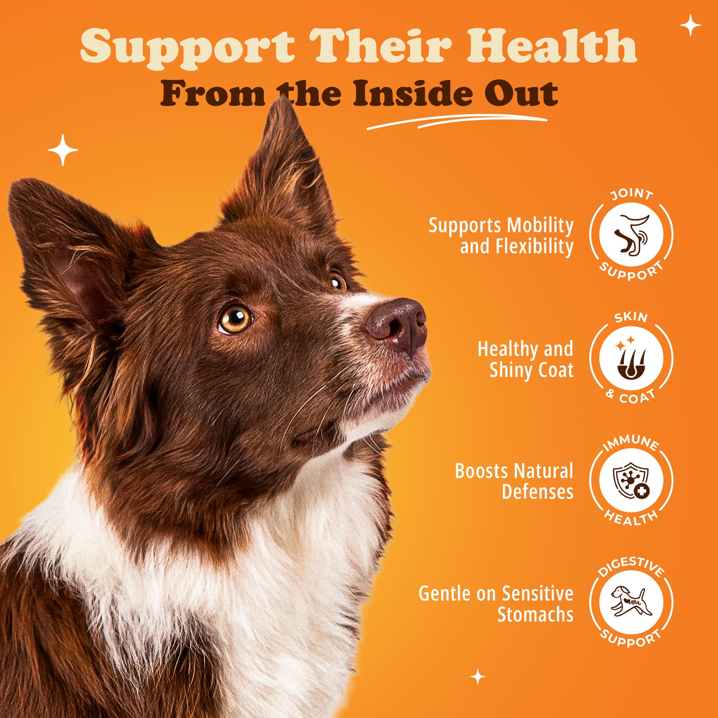 NutriTailz Smoky Bacon Beef Bone Broth
