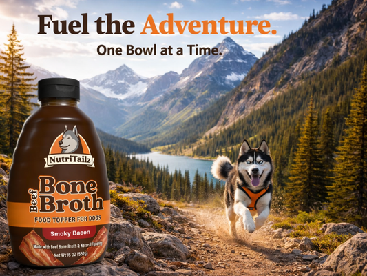 NutriTailz Smoky Bacon Beef Bone Broth